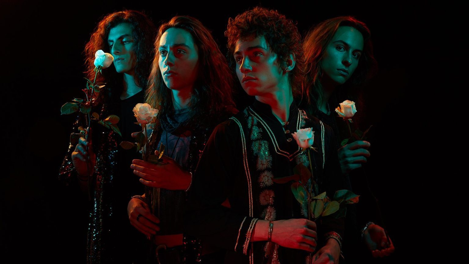 Greta van Fleet net worth