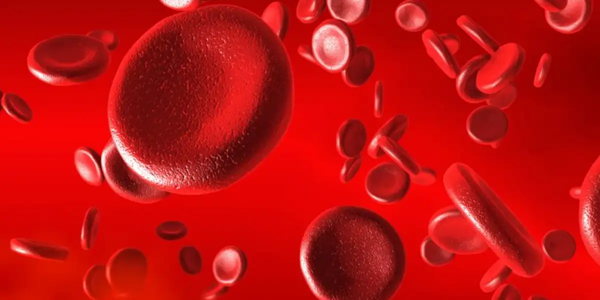 HbA1c Testing for Diagnosing and Monitoring Diabetes Patients Aboutbiography