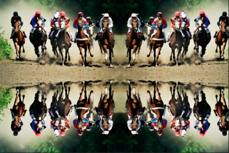 The World's Fastest Animals: A Glimpse into Nature's Speed Demons