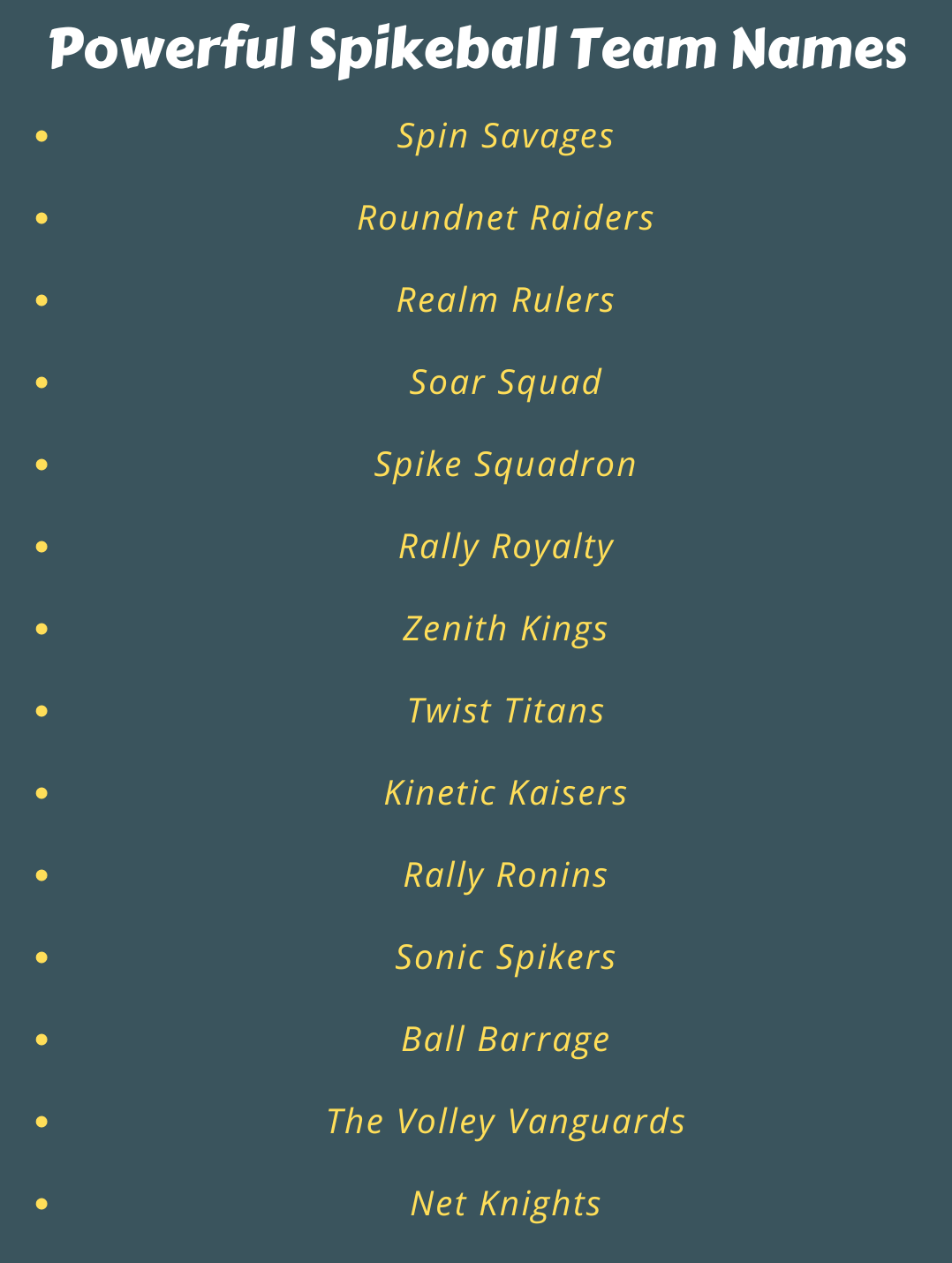 350+ Spikeball Team Names: Funny, Best, Cool & Unique Picks