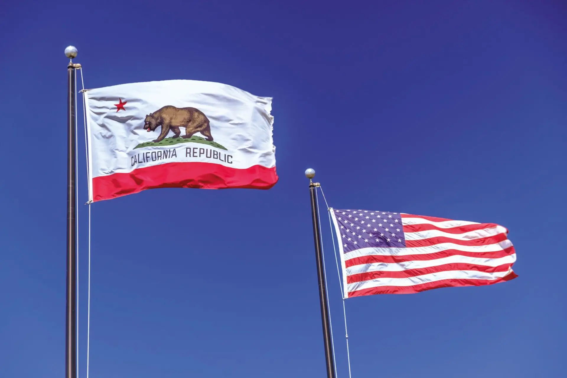 Income Tax Calculator California – Fast & Accurate Estimates